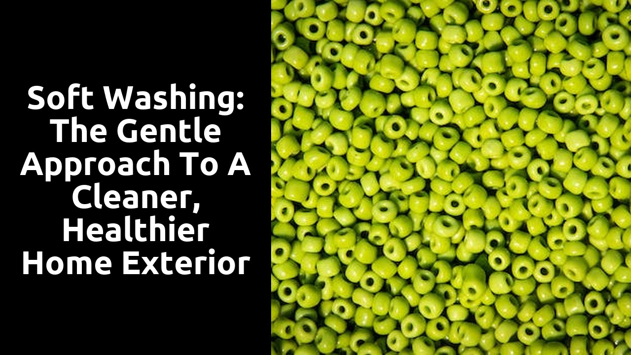Soft Washing: The Gentle Approach to a Cleaner, Healthier Home Exterior